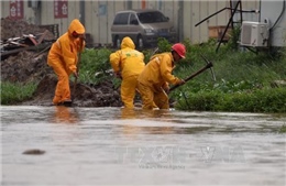 Bão Mujigae khiến 16 người mất tích ở Trung Quốc